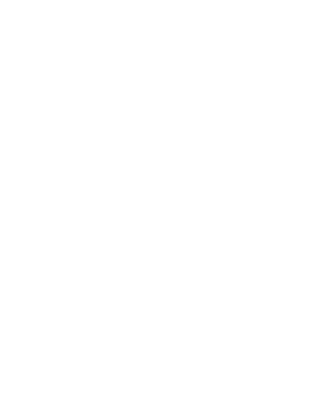 Plate VI — a skull in cranial regress, rendered in foil